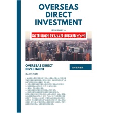 新余公司境外投资备案多少钱