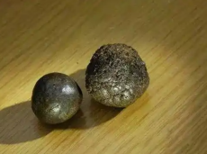 南昌長期豬寶現在價格