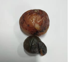 萊蕪長期羊?qū)毷召忞娫?/></a>
                    </div>
                    <p class=