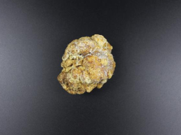 寧德長期豬寶收購中心