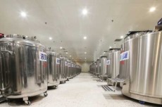 干细胞治疗iga=干细胞nk治疗费用多少钱