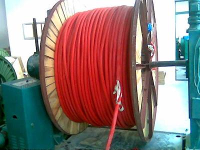 ZR-IA-KX-VVP-3*2*1.0補償電纜