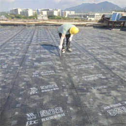 深圳市本地卫生间防水补漏施工