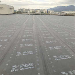 惠阳区当地卫生间防水补漏公司