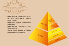 西班牙氣泡酒都富莊園紅葡萄酒長相思