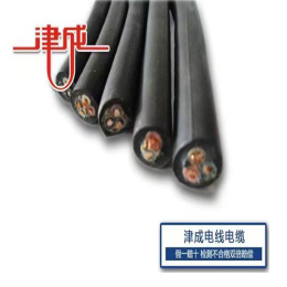 長沙津成控制電纜廠家地址