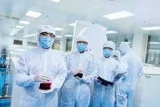 干细胞的制备与存储=干细胞移植病人的食谱