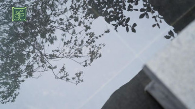 怀化公园绿化施工方案