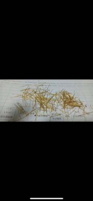 舟山靠谱废旧钌锌催化剂回收多少钱