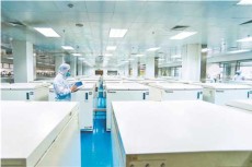 2023年能实现干细胞临床应用治疗慢性肾病吗