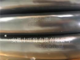 EX-HS-FGP耐高溫防腐補(bǔ)償導(dǎo)線SC-HS-FGP
