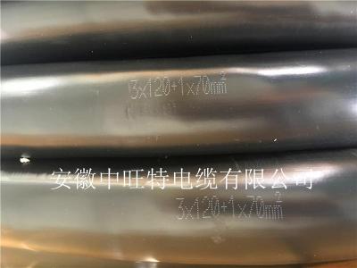EX-HS-FGP耐高溫防腐補償導線SC-HS-FGP