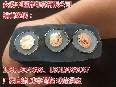 鍍銀高溫電纜