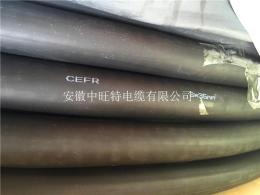 KFFP22F469*1.5鋼帶屏蔽耐高溫防腐控制電纜