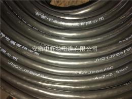 WZPK-568圓接插式鎧裝熱電阻