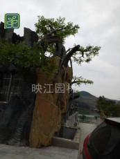 沙洋区山石假山施工方案