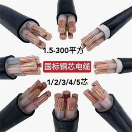 四川津成彈簧電纜廠家