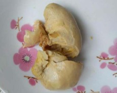 遂寧長期收購雞寶