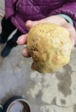 吉林白城经济开发区本人常年收购陨石快速出手电话