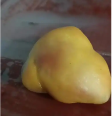 西華縣動物寶高價收購