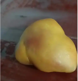 西华县动物宝高价收购