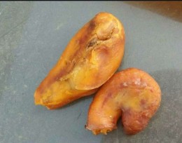 罗定市猪宝上门收购