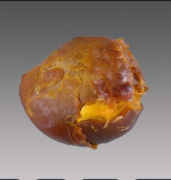 河南豬寶拍賣(mài)公司
