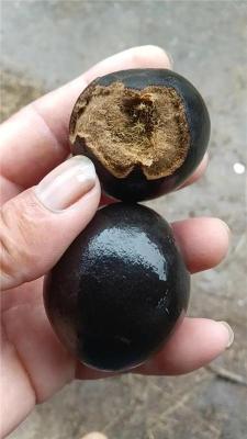 阿勒泰市靠譜的牛寶交易哪家便宜