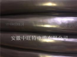 山東日照熱電偶補償導線