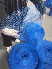 來賓低價促銷100 - 160 - 65目塑料網套生產廠家