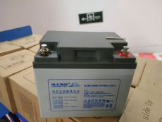 儋州友聯（UNION）蓄電池原廠正品