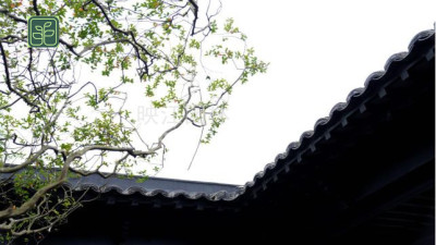 武汉园林景观专业师傅施工