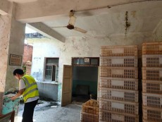 內(nèi)江東興農(nóng)村房屋建筑安全檢測鑒定