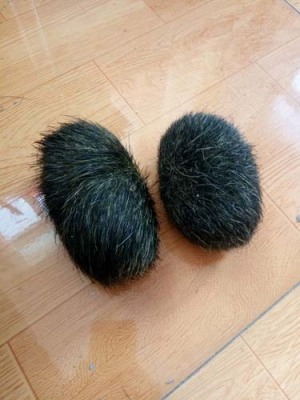 山東收購羊?qū)毬?lián)系方式