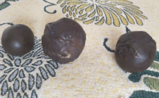 蒸湘區羊寶免費鑒定