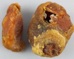 豫東綜合物流產(chǎn)業(yè)聚集區(qū)豬寶高價收購