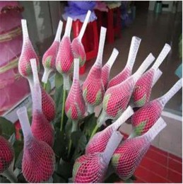 陜西塑料保護(hù)網(wǎng)套定制價(jià)格
