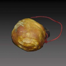 鄧州收購(gòu)雞寶參考價(jià)格