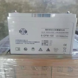 金華圣陽蓄電池12V100AH參數規格配置