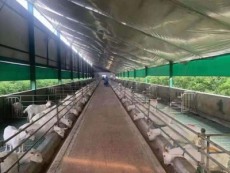 罗湖区网上订牛奶订购电话