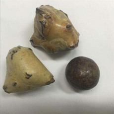 儋州長(zhǎng)期收購豬寶