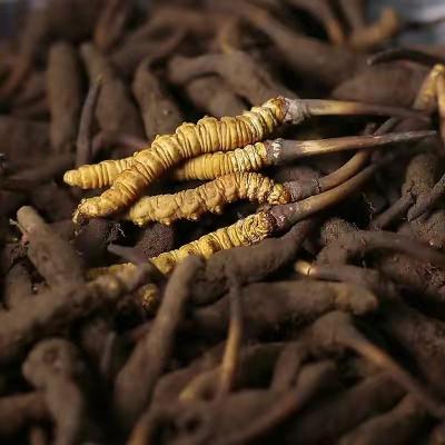 博望区茅台空酒瓶回收联系方式