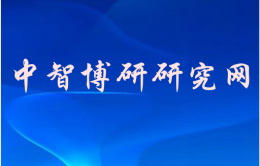 杂货电商平台市场调查与投资前景预测报告