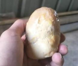 成都雞寶交易公司