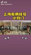 上海九院正式预约陆信武代挂号一站式搞定