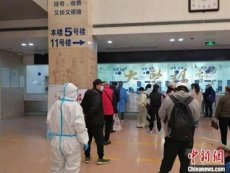上海九院林明跑腿代挂号代挂号加微信秒应