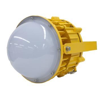 BFC8196LED防爆泛光灯