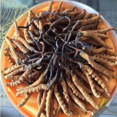北京门头沟区哪里有冬虫夏草礼盒回收值多少钱