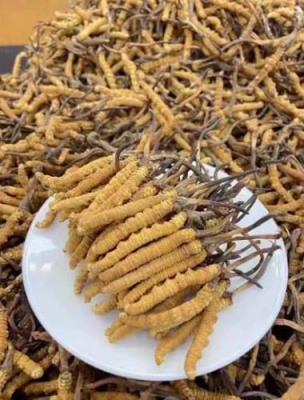 北京门头沟区大量回收冬虫夏草礼品值多少钱
