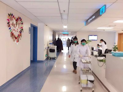 上海九院肖彩雯代挂号预约电话代挂号加微信秒应